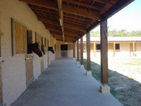 les embruns d'or