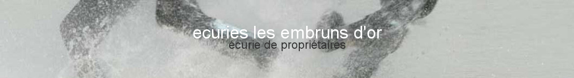 ecuries les embruns d'or